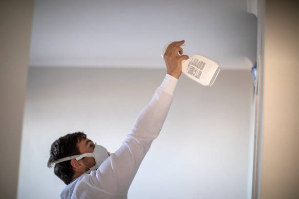 Best Professional Mold Removal  in Windom, MN