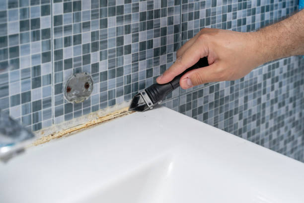 Best Black Mold Removal  in Windom, MN